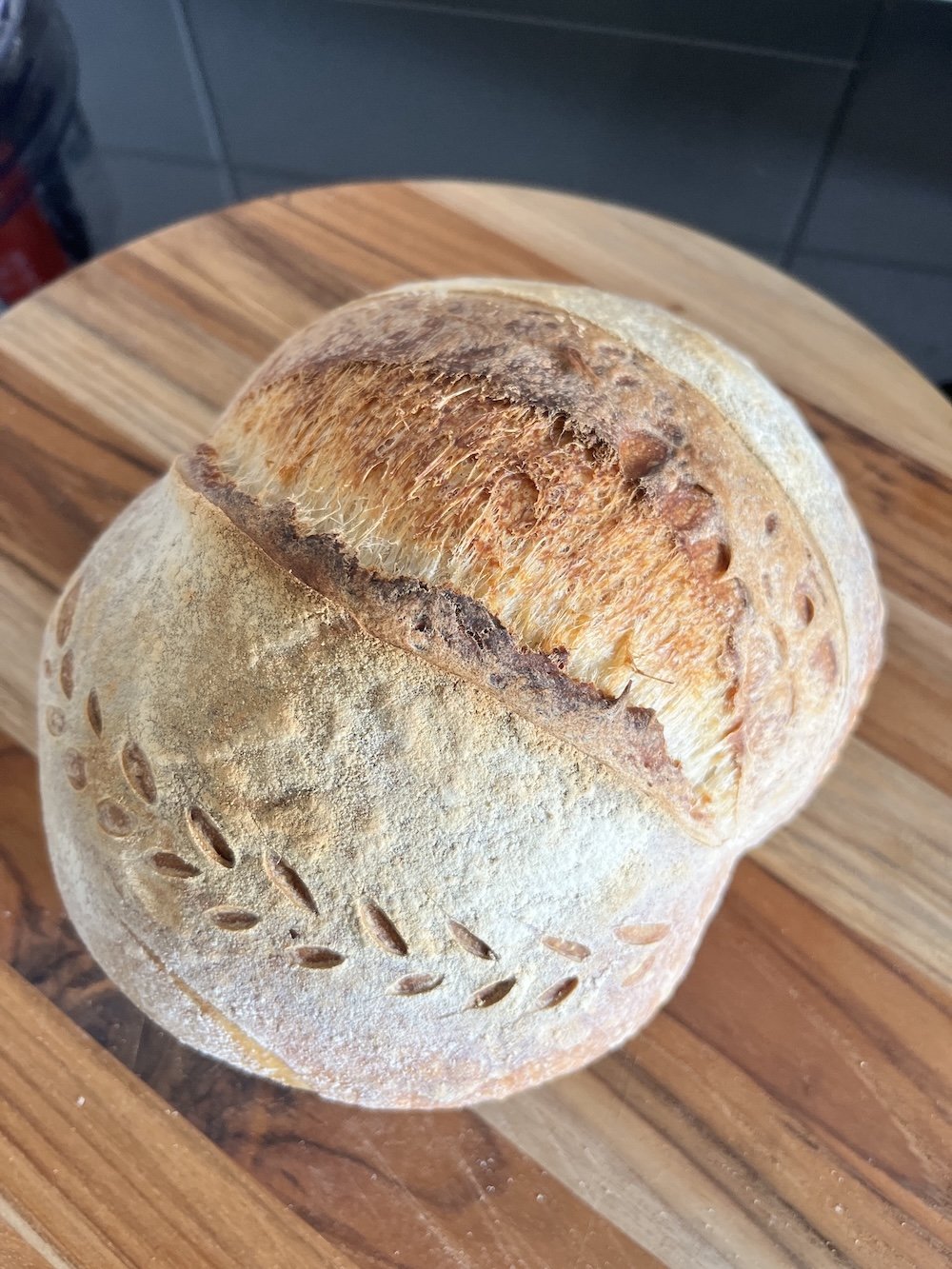 brood